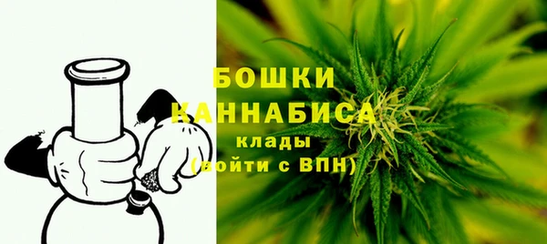 прущие грибы Нягань
