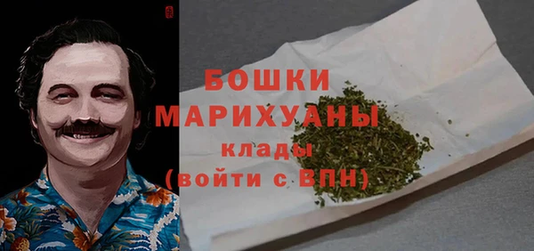 прущие грибы Нягань
