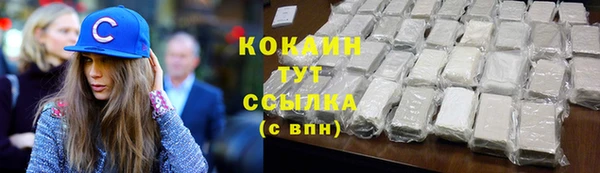 прущие грибы Нягань