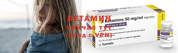 прущие грибы Нягань
