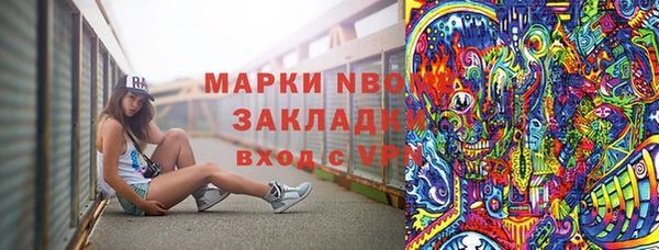 стафф Новозыбков