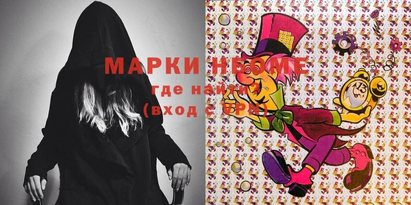 тгк Бикин