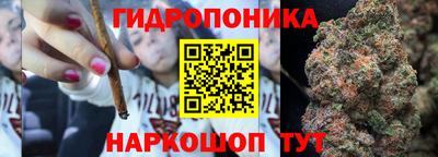 шишки Абинск