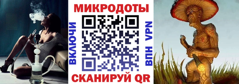 Галлюциногенные грибы Psilocybe Кизилюрт