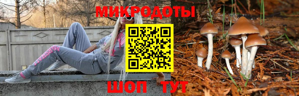 Псилоцибиновые грибы Cubensis Кизилюрт