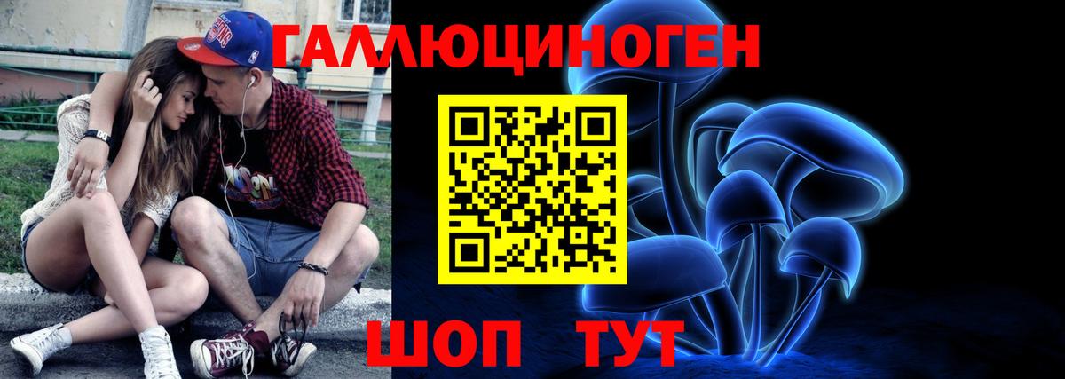 Псилоцибиновые грибы MAGIC MUSHROOMS  цена наркотик  Псилоцибиновые грибы Cubensis  Кизилюрт 