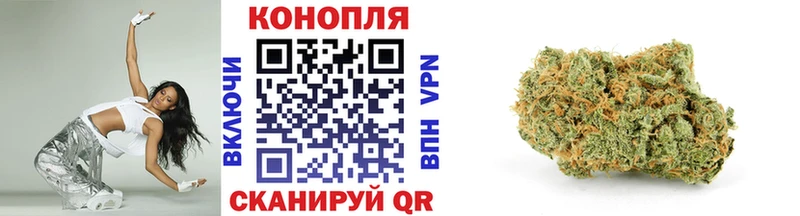 mega онион  Кизилюрт  shop официальный сайт  Шишки марихуана конопля 
